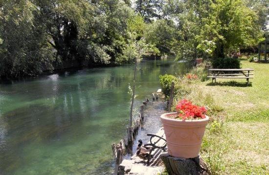 Mas Le Pont Des Aubes LʼIsle-sur-la-Sorgue Exterior foto