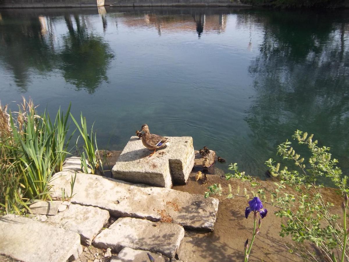 Mas Le Pont Des Aubes LʼIsle-sur-la-Sorgue Exterior foto