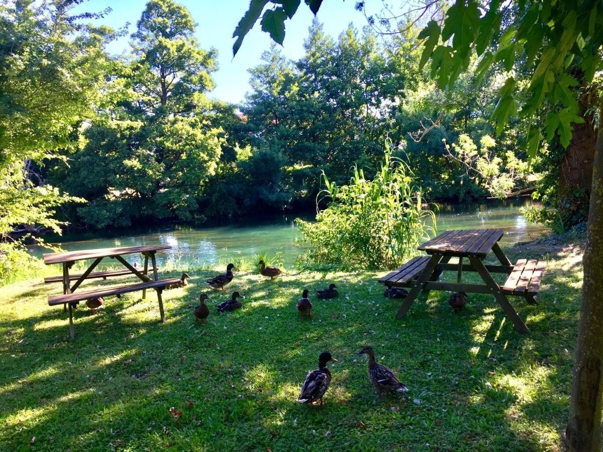 Mas Le Pont Des Aubes LʼIsle-sur-la-Sorgue Exterior foto
